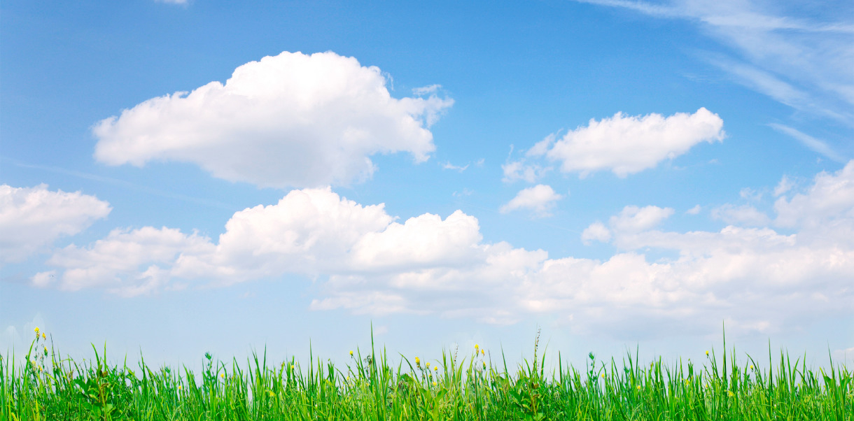 About-us-Banner-1(1)